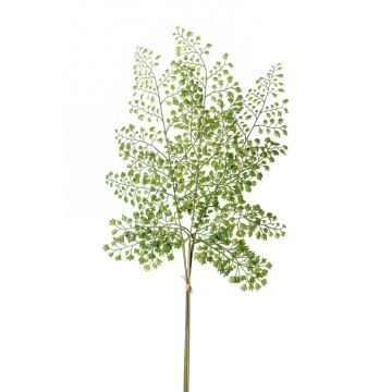 Branche artificielle de Fougère cheveux de vénus HALIMA, vert, 60cm