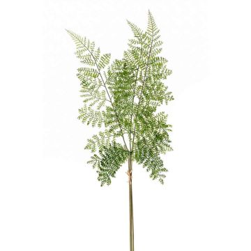 Branche artificielle de Fougère bouclier HALIMA, vert, 60cm