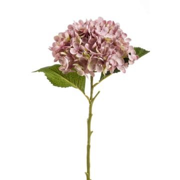 Fleur en tissu Hortensia EGIA, rose, 50cm