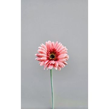 Fleur décorative Gerbera TEUDELINDE, vieux rose, 55cm, Ø8cm