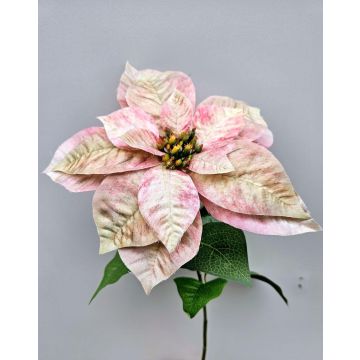 Étoile de Noël en velours LIBASSE, crème-rose, 65cm