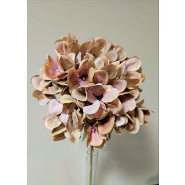 Fleur décorative Hortensia MANDISA, brun-rose, 65cm