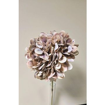 Fleur décorative Hortensia MANDISA, beige-rose, 65cm