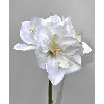 Fleur artificielle Amaryllis MARKUNO, crème-blanc, 60cm