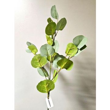 Fausse branche d'eucalyptus GONNE, vert, 75cm