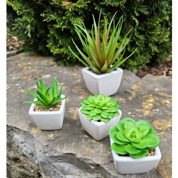 Aloe vera décoratif KATNISS, pot en céramique, vert, 9cm