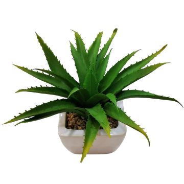 Aloe vera décoratif KATNISS, pot en céramique, vert, 19cm