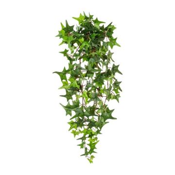 Plante décorative Suspension de lierre LIRMA, piquet, vert, 60cm