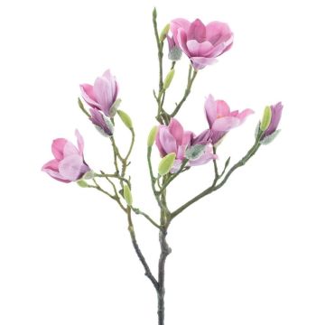 Branche artificielle Magnolia GUNI, violet, 90cm