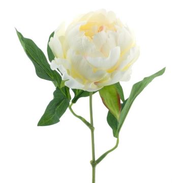 Pivoine décorative TALFY, crème, 35cm