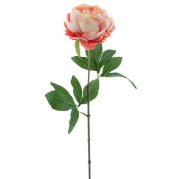 Pivoine décorative TALFY, rose-crème, 65cm