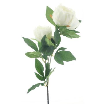 Branche de pivoine artificielle THEMIA, crème, 65cm