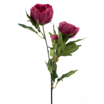 Branche de pivoine artificielle THEMIA, violet foncé, 65cm