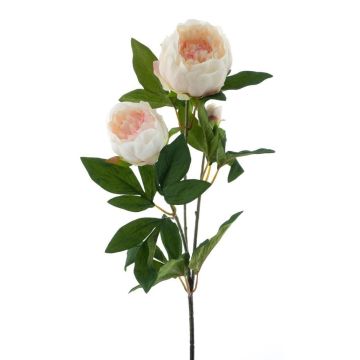 Branche de pivoine artificielle THEMIA, crème-rose, 65cm