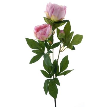 Branche de pivoine artificielle THEMIA, rose, 65cm