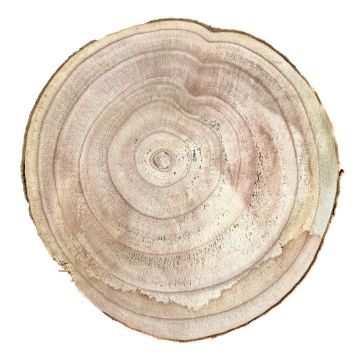Rondelle d'arbre en paulownia JESSALYN, naturel, Ø25-27cm
