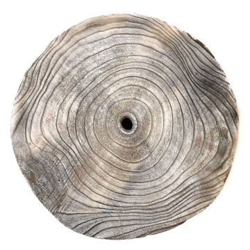 Rondelle d'arbre en paulownia JESSALYN, gris, Ø25-27cm