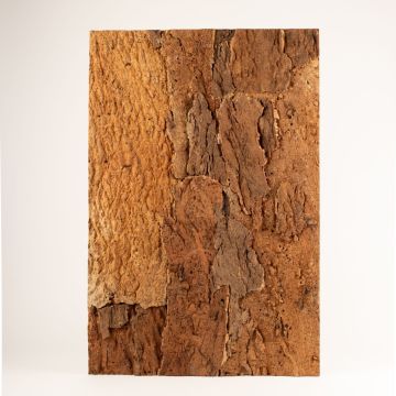 Plaque de liège naturel RATANA sur support en liège aggloméré, brun clair, 90x60cm, épaisseur 2cm