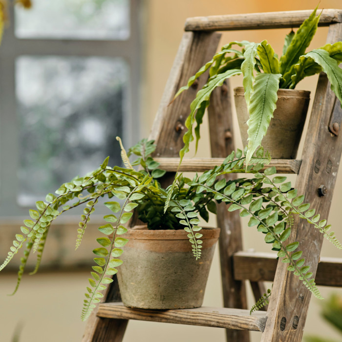 Plantes et fleurs artificielles