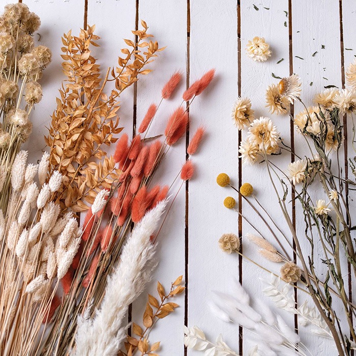 Fleurs séchées
